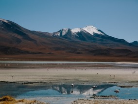 最新艺术电影，探索与欣赏的旅程最新艺术电影推荐